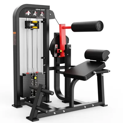 Commercial Fitness Equipment Factory Price Pin Loaded Back Extension Machine