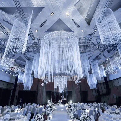 2M Flat Silver Ribbon Line Tassel 26 Colors Wedding Backdrop Wall Ceiling Decorating String Curtain