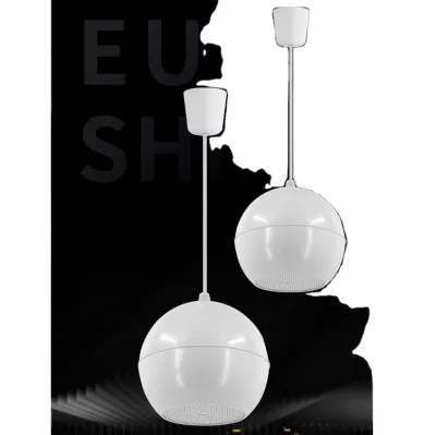 Indoor PA Pendant Speaker 5in Woofer 2.5W-10W 70V/100V ABS Shell Mall Club PA Paging Speaker
