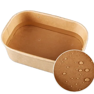 Eco-friendly Kraft Paper Outdoor Food Packaging Box Take Away Lunch Paper Box Salad Food Container