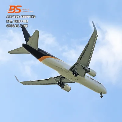 DHL UPS FEDEX Door to Door Dropshipping Express Shipping Sea Shipping from Shenzhen/Yiwu to Myanmar/Yangon/Myanmar/France/Japan