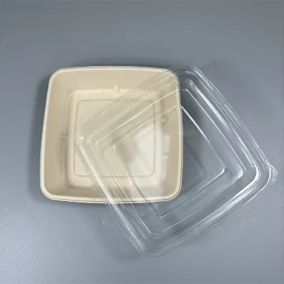 Biodegrad Salad Bowl Disposable Biodegradable 24 32 oz Bowls with Lid Sugarcane Bagasse Pulp Packaging