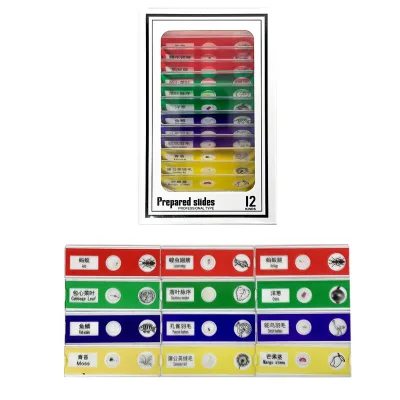 Prepared Microscope Slides Set of Animals Insects Plants Flowers Biological Learning Specimens for Kids Science  Education