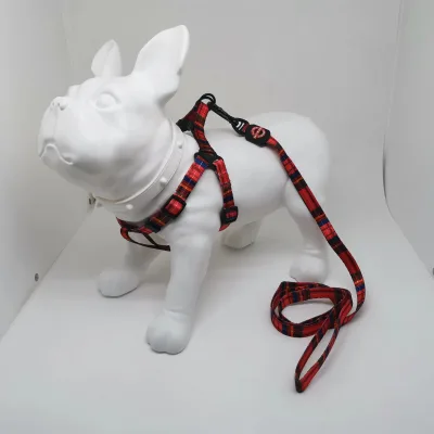 Collar Dog Leash and Harness Set