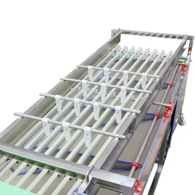 Factory Wholesale Fruit Avocado Oranges Dates Size Grading Potato Conveyor Belt Sorting Machine