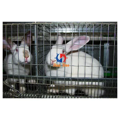 16 Gauge Black Vinyl Coated Opening 1X1 Rabbit Welded Wire Mesh