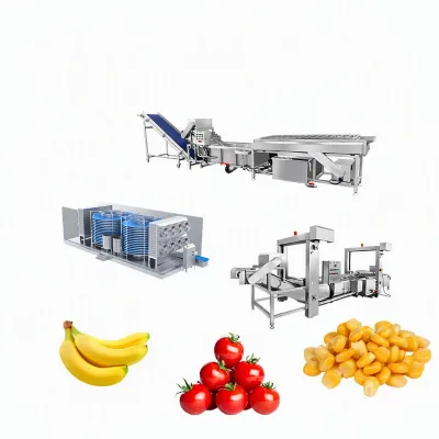 Baiyu PLC Automatic Industrial Frozen Food Processing Line for Quick Spiral Vegetable and Fruit Freezing with SUS304 Material