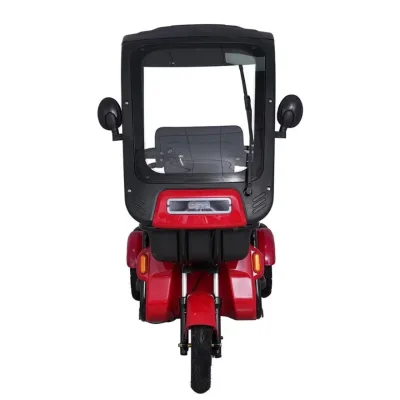 Three Wheel Electric Transport Passenger Motorized Tricycle Electric Rickshaw with Shelter Electric Passenger Tricycle