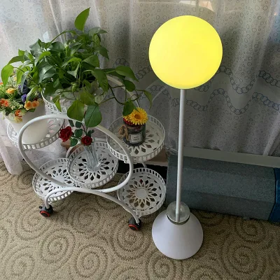 Customized Modern LED Ball Lamp Plastic Body Standing Floor Light with Remote Control for Hotel & Living Room