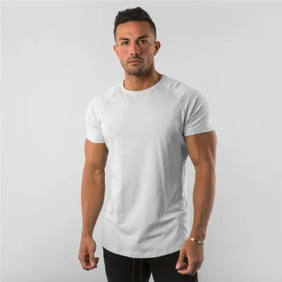 Custom Logo Muscle Building Running Short Sleeve Quick Dry Solid Gym Sport Cotton Blank T Shirt for Men