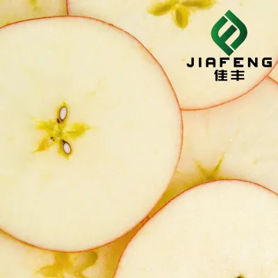 Wholesale Price of Farm Selected High-Quality and Fresh Delicious Red FUJI Apples