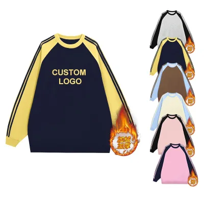 OEM Custom Embroidered Women's Vintage Heavyweight 420 Grams Fleece Oversized Sweater Pullover 3D Crewneck Sweatshirt for Winter