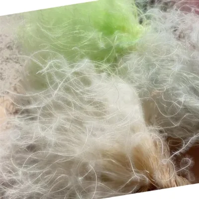 20 Grams Preserved Dry Feather Grass Flower Per Bundle for Home Wedding and Party Decor for Mother's Day and Valentine's Day