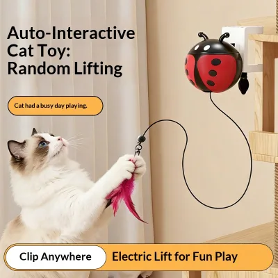 Automatic Random Lifting Interactive Cat Toy Ladybug Shape Hanging Feather Teaser Electric Self Play Cat Toy Clip Anywhere