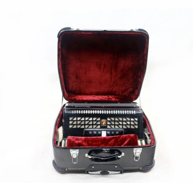 Accordion Hard Case