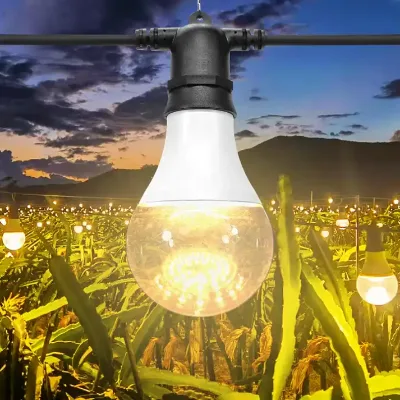 Supply Sample 15w Planting Bulbs Full Spectrum Pitaya Grow Bloom E26 E27 Holders A80 LED Bulb Dragon Fruit Led Grow Light