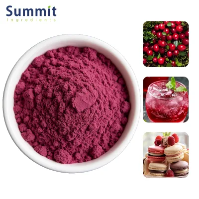 Summit EU Warehouse Fast Delivery Cranberry Extract 25% Proanthocyanidins Cranberry Fruit Powder
