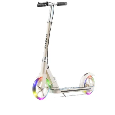 High Quality Children's Scooter Portable Foldable 2 Fashing Wheel Dual Brakes Kids Kick Push Scooter