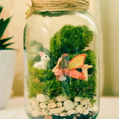 Terrarium Glass Containers Mason Jar Terrarium, DIY Terrarium Kit