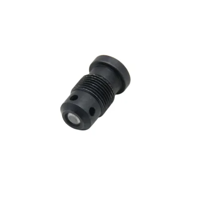 WEIYUAN Befrag Brand New Fuel Pump Non-return Valve M10 (AC-005/AC005) for C7 C9 Diesel Engine Fuel Injection System Steel