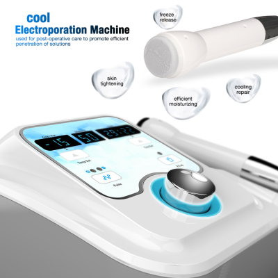 Skin Inflammastion Reduction Skin Cooling Machine Cryo-Facial D Cool Cryo-Electroporation Face Toning Skin