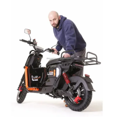 Wholesale 240W Brushless Motor Cargo E-Bike Commercial Delivery Electric Bicycle Factory Supply