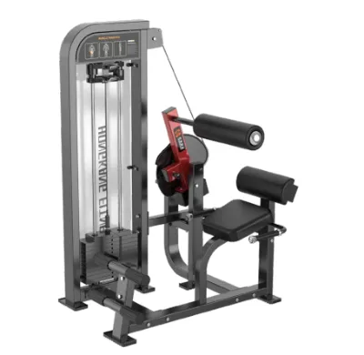 Back Extension Machine Commercial Fitness Equipment Factory Price Pin Loaded