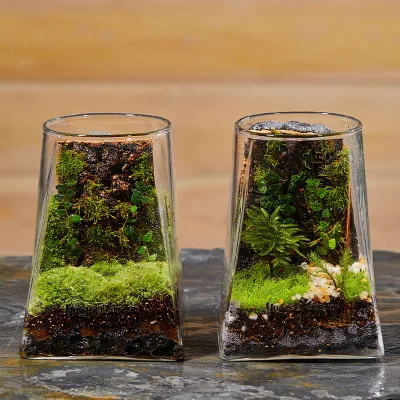 56H Custom Mini Small Potted Plants Creative Aquascape Green Plant Ornaments Terrarium Planter Flower Vase Table Decoration