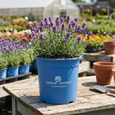 Rigid Plastic Gallon Containers for Stable Placement on Uneven Outdoor Terrain