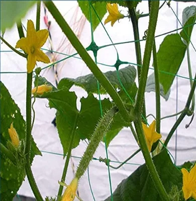 Heavy-Duty Polyester Garden Trellis Net Plant Support Netting for Climbing Plants