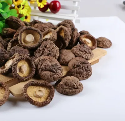 Wholesale Sale High Quality Natural Dried Shiitake Mushrooms Natural and Wholesale Price for Customers