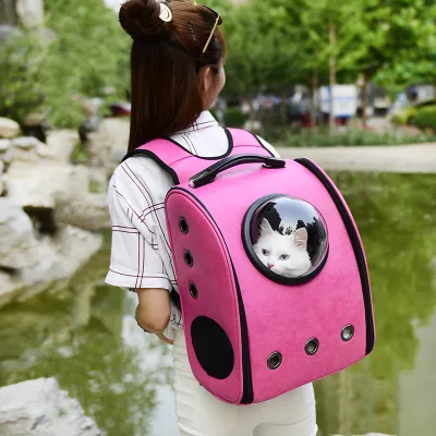 Durable Guangzhou Pet Carrier or Bag Plastic Windproof Pet Carrier Pet Car Carrier