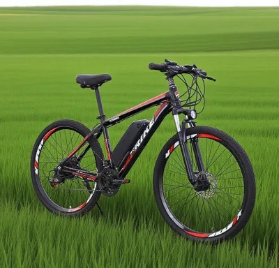 21-speed aluminum alloy material lithium battery  ebike electric bike  customizable hydraulic brake color logo bici elettrica