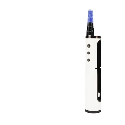 Auto Hydra Water Inject Pen MESO Derma Pen 12 Pins Needles Syringe Tube Face Microneedling Beauty Machine