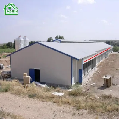 Low Cost Industrial Shed Chicken House Prefabricated Poultry House Export to Uganda