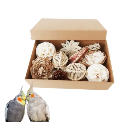 Interactive Parrot Shredding Toys Box Natural Bird Foraging Toys Box With Sola Ball Toy