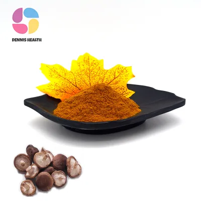 Supply Shiitake Mushroom Extract Powder Food Grade Shiitake Mushroom Powder
