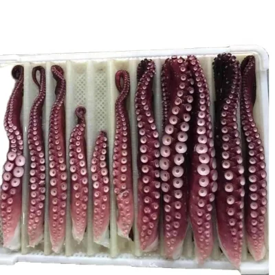 High Quality Top Grade Frozen Big Octopus Best Seller Export Oriented Product Directly Wholesaled Indonesia Competitive Price