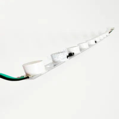 Custom LED Light String 470mm IP67 Landscape 24V Remote Control