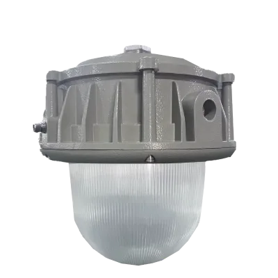 Hazardous Area Industrial Ceiling Mounted Explosion Proof LED Lights Energy Saving Led Light for Gas Stations and Marine
