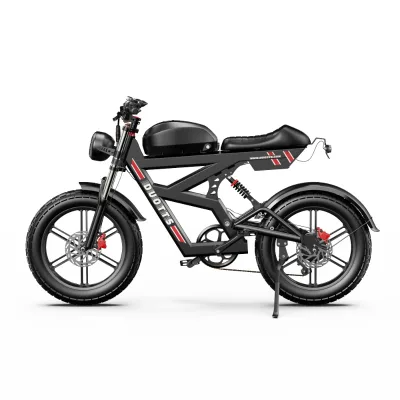 Adult Electric City 20 inch Fat Tire Bicycle 52V Electric Mountain Bike Europe and America Warehouse 750W Rear Motor