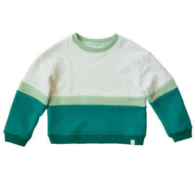 Spring and Autumn Infant Clothing Boutique Cotton Kid Children Pullover Jungle and Pistachio Color Block Drop Shoulder Crewneck
