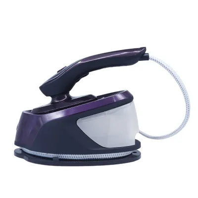 Professional Manufacture 2500W 220V Clothes Steamer Garment With Rotatable Design and 600ml Water Tank