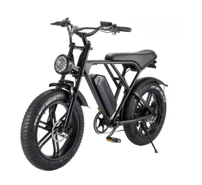 USA EU Warehouse H9 Electric Bicycle 250-1000W High Speed Motor 20*4.0 Inch Electric Fat Tire Steel Frame E-Bike In-Stock