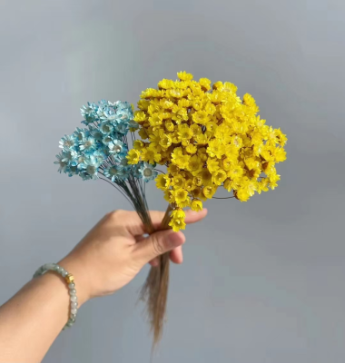 Dried Mini Star Flowers Wedding Bouquet Decoration Flowers Floating Flowers