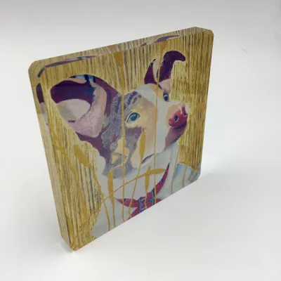 Exquisite Acrylic Coasters with Intricate Designs Colorful Art Pieces for Home Decor, Stylish Drinkware Holders,and Unique Gifts
