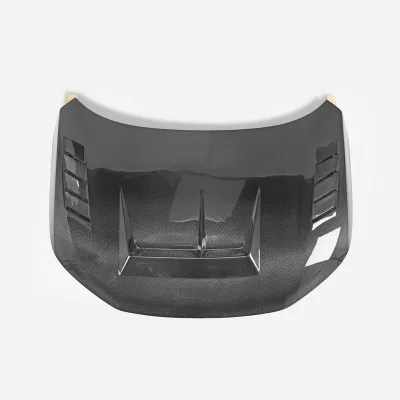 Premium Carbon Fiber Hood - Fit Type-R FL5 Hatchback EPA MG Type