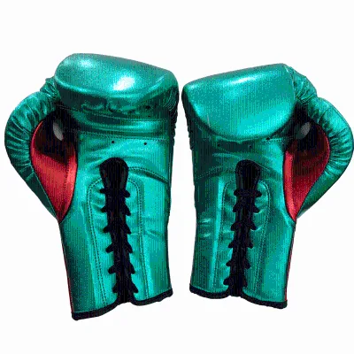 Sample Free Shipping WOOSUNG Quality Mauy Thai Own logo Training Boxing Pads and Gloves Pu Boxing Gloves