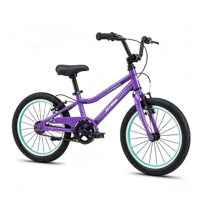 Custom Logo Safe Ride Teen Cycle 20 Inch Single Speed Steel Safety Chain Guard MTB Style School Boys Bicycle Steel Frame Bike