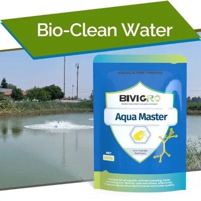 Aquaculture Fish Shrimp Probiotic Bacillus Subtilis to Decompose Organic Matter Biologically Clean Pond Water Improve Gut Health